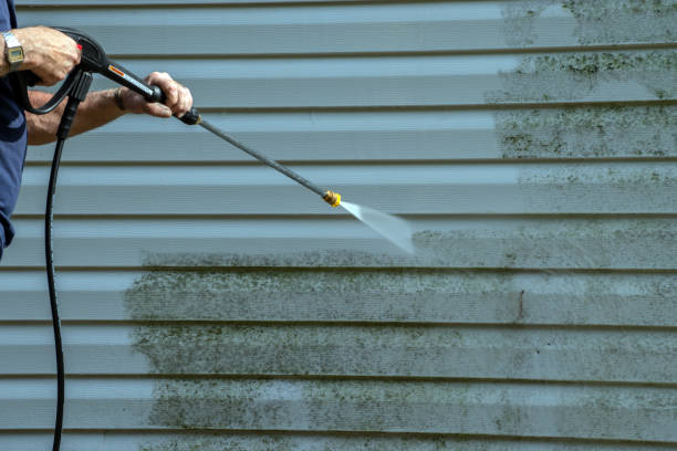 Best Fence Cleaning and Maintenance in Avodo Heights, CA